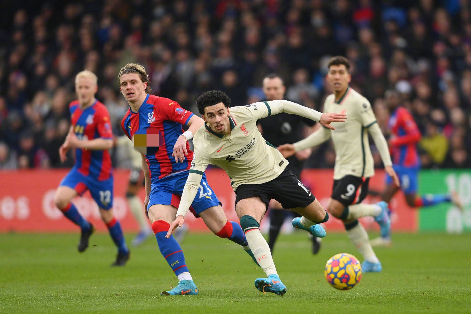 普取得了现 普取得了现